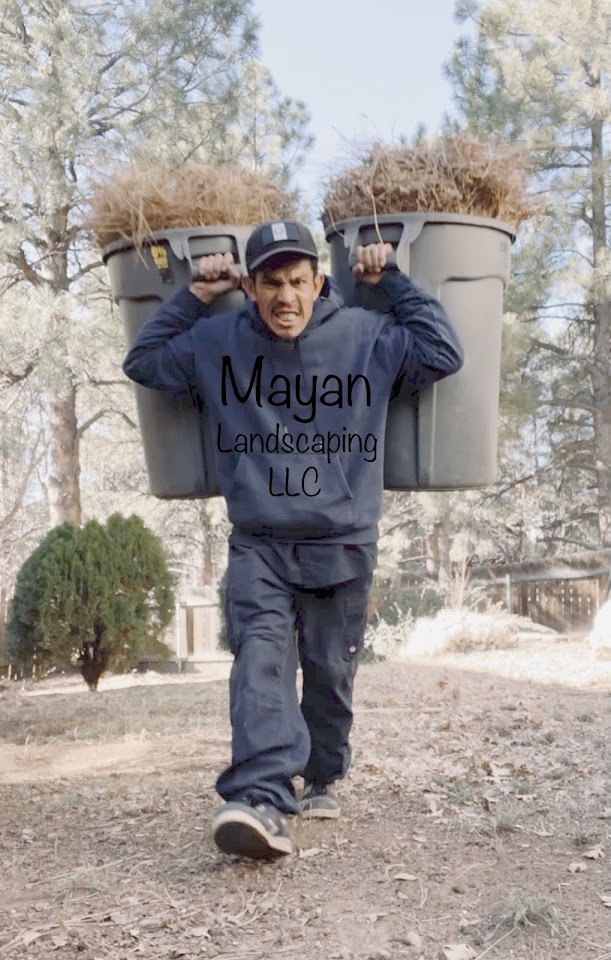 Mayan Landscaping LLC project
